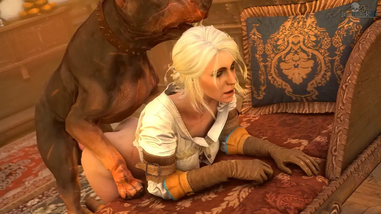 Ciri X Dog [Loop]