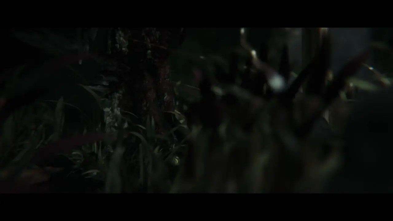 ZMSFM Triss and Leshen