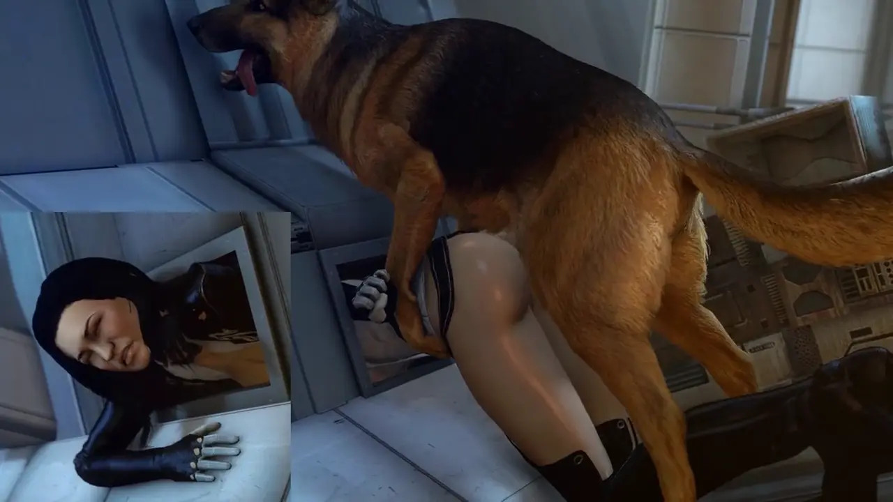 Miranda X Dog 2 [Loop]
