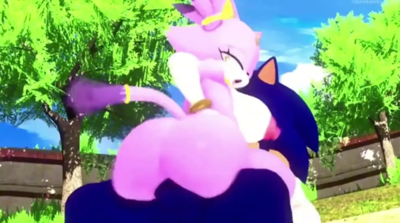 The Night Has Gone (Sonic HMV)