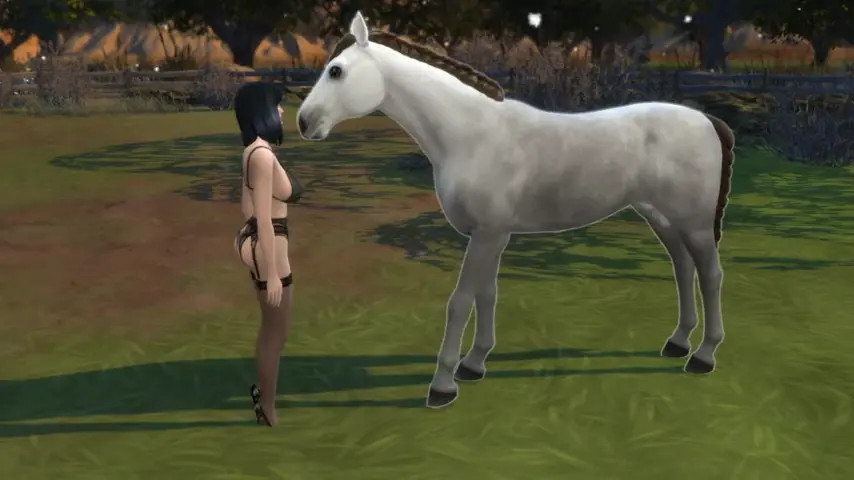 That time Nami went to ride a horse