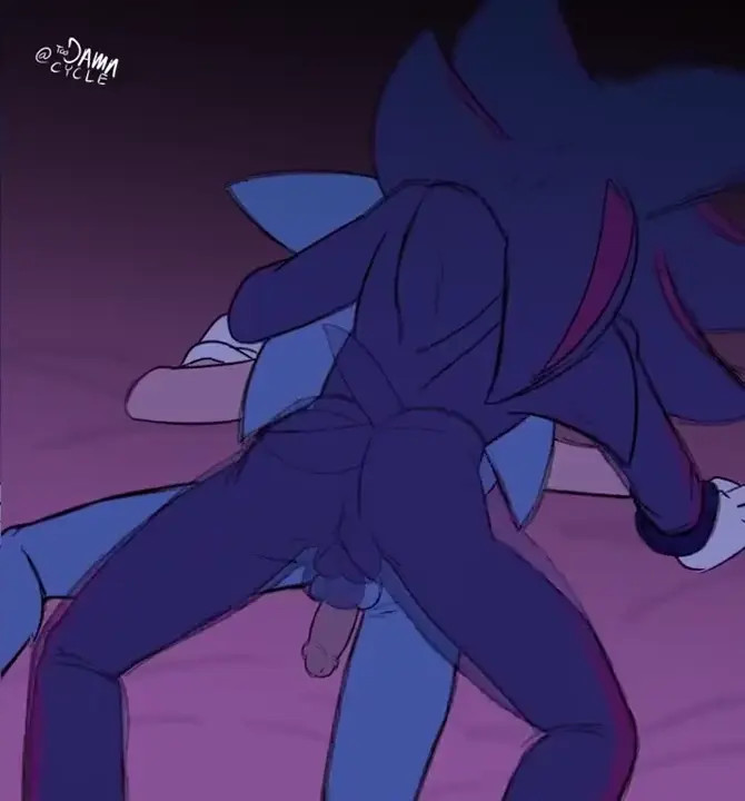 Shadow in Sonic's Ass (Sound)
