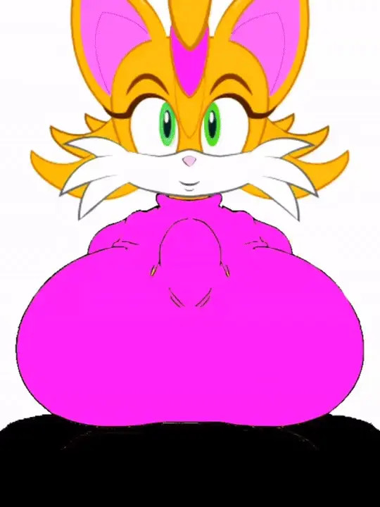 Bunnie Rabbot Played with Marcos The Hedgehog