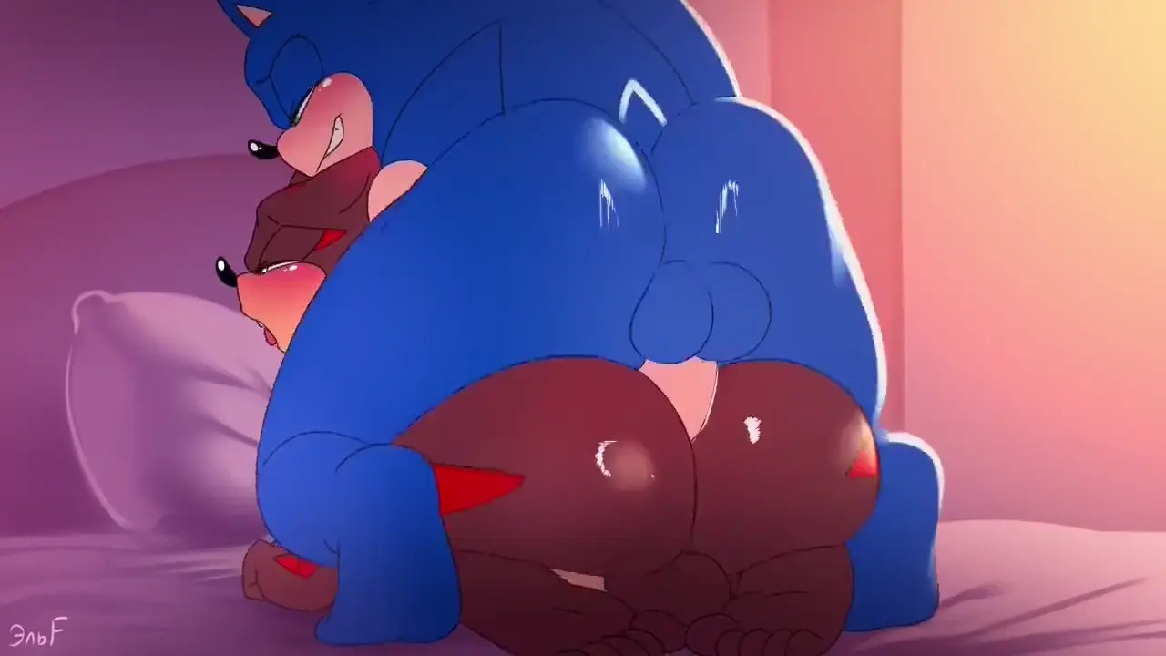 Sonic x shadow