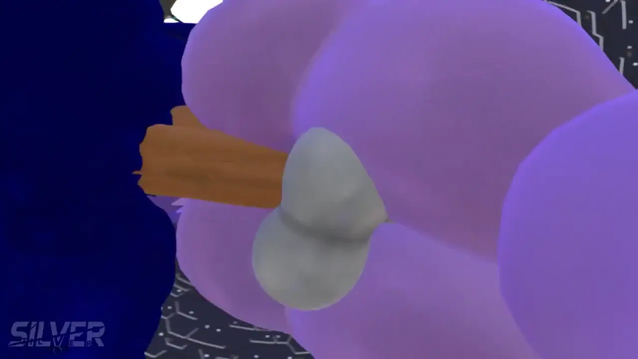 Sonic rush
