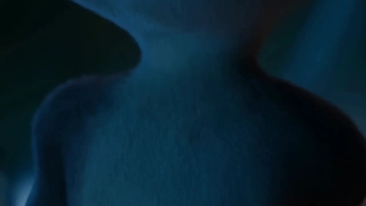 Judy The Naughty Rabbit Compilation
