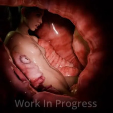 WIP: Admirer Nov 2025