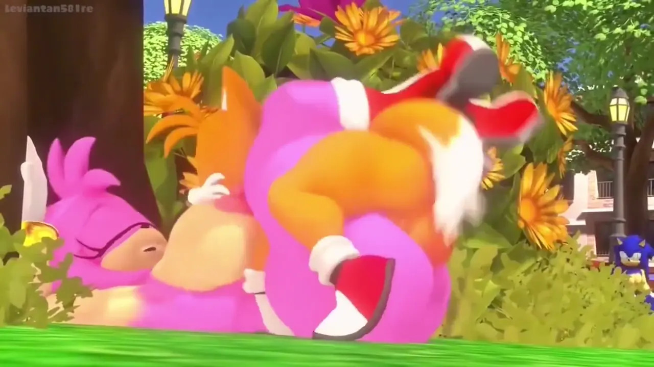 Amy Rose Comp by Leviantan581re