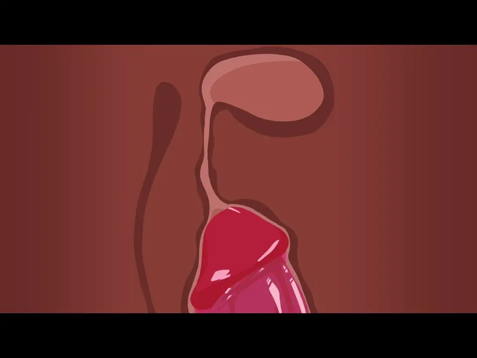 The Lady from the TV