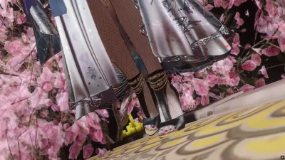 fengying Princess NTR