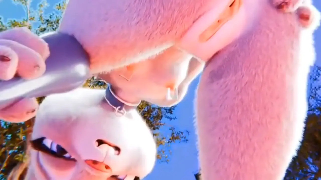 FURRY PMV: Topia
