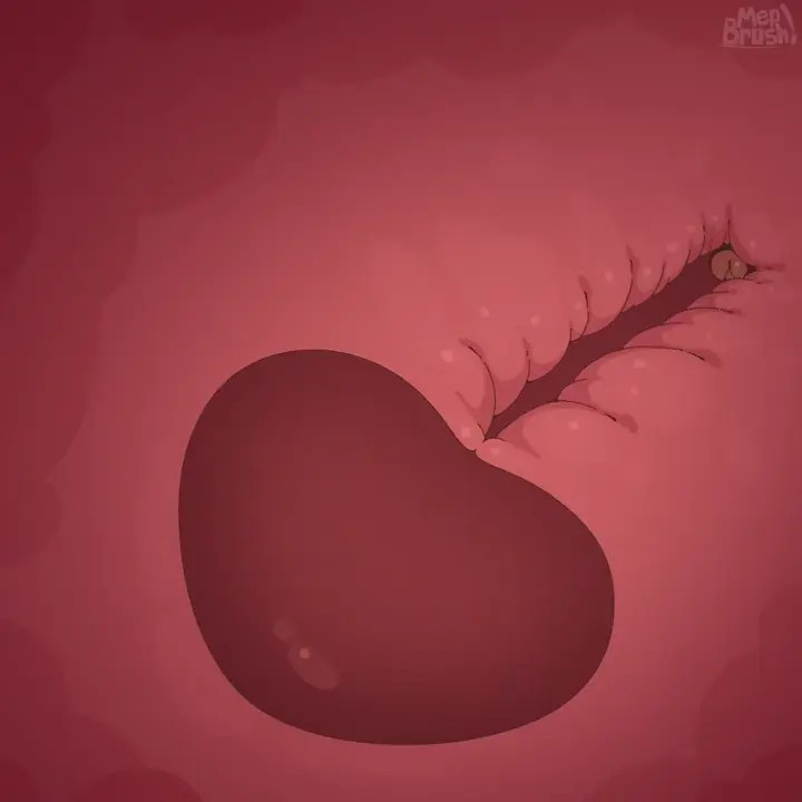 『MepBrush』internal sex