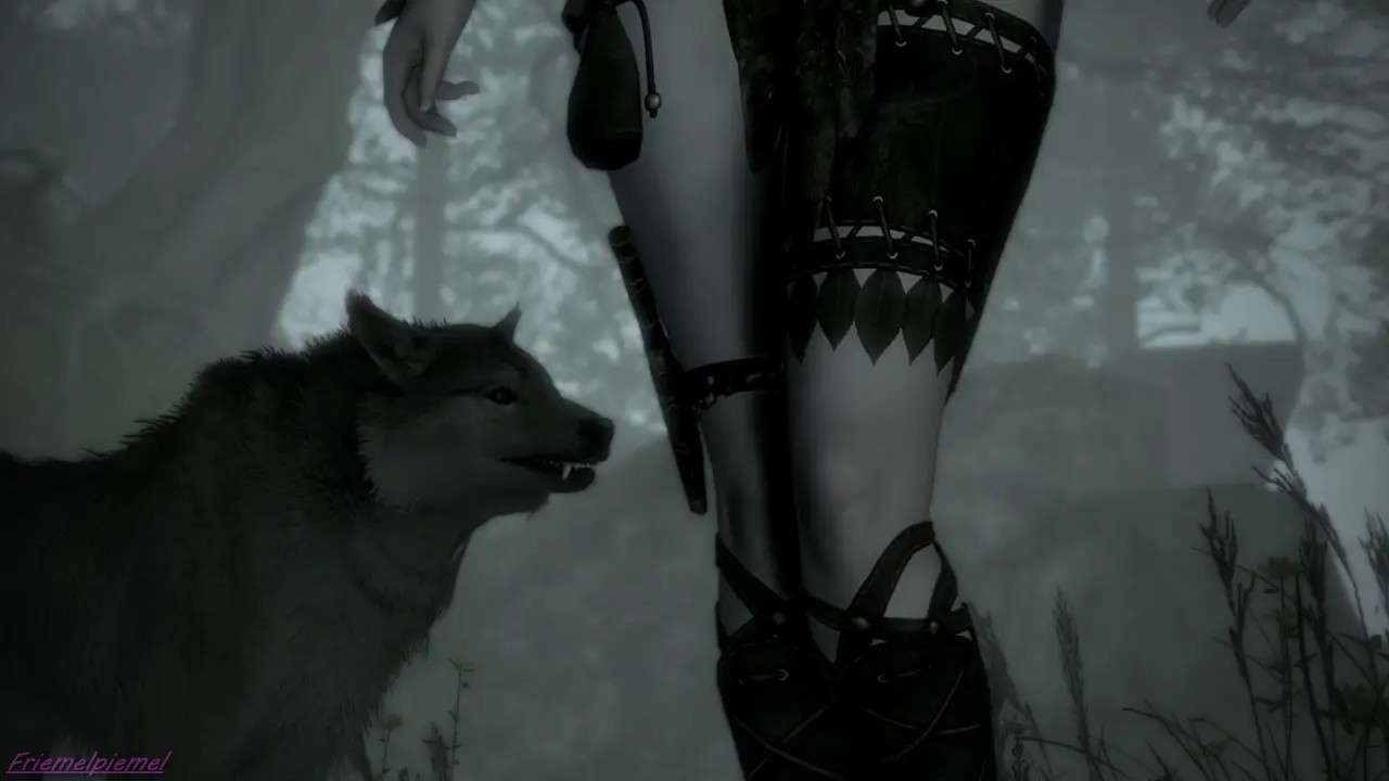 Wildchild: The Adventures of Fauna - Episode XII: Old Wounds