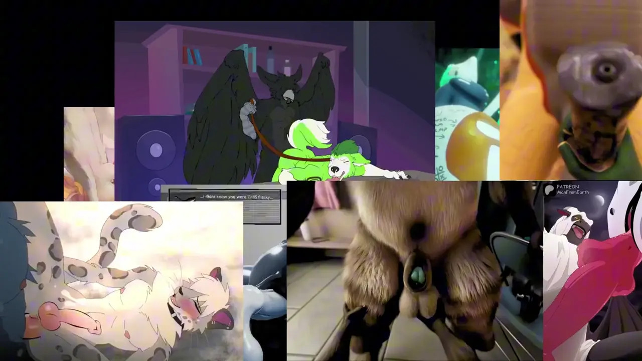 New Hentai: Progressive Goonwall 1 - Stream & Download HD | rule34tv.com