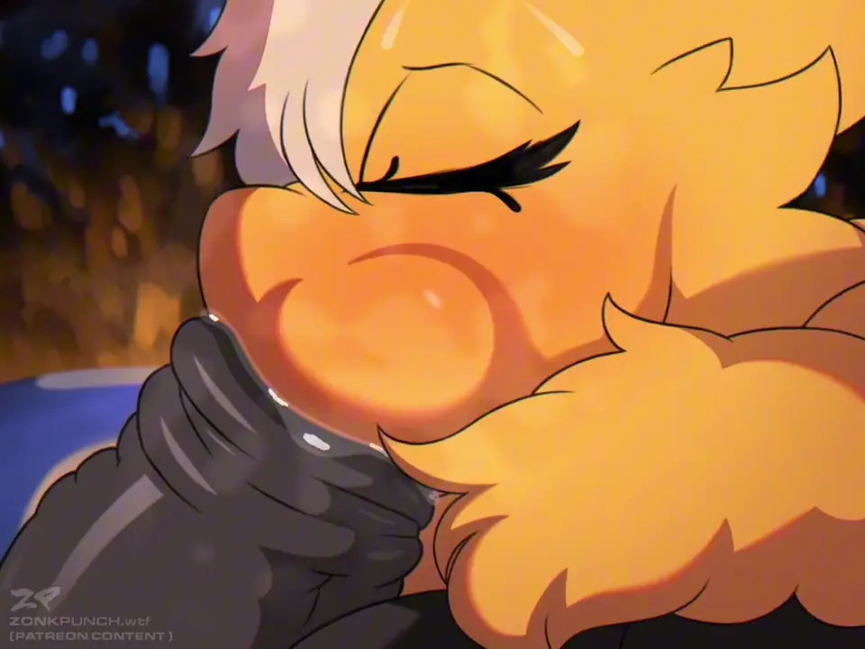 Zonkpunch PMV