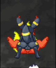 Umbreons also have rights