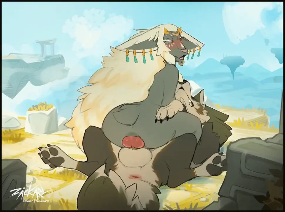 Rauru meet wolf Link