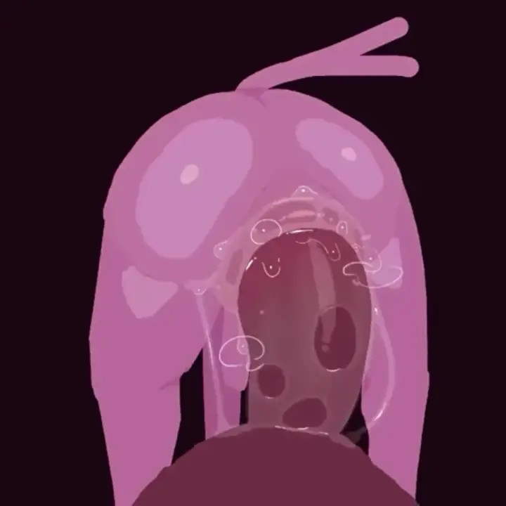 Pokebussy