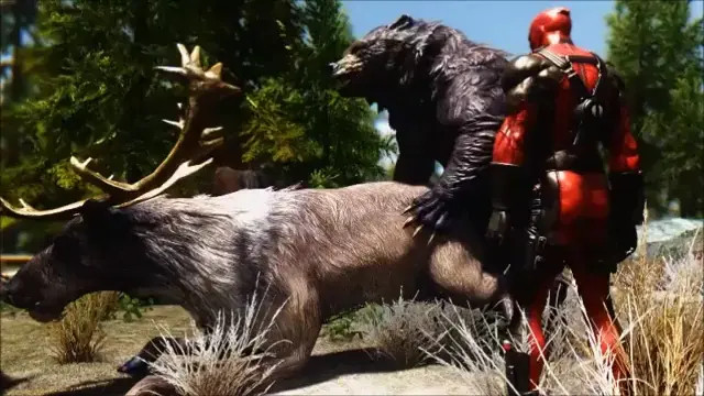 Gay wilds