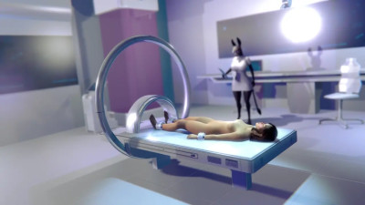 Donkey by regular wallaby