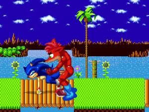 MUGEN Sonic X Crash Bandicoot