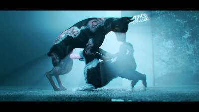 Zombie Dog Facefucking Collie