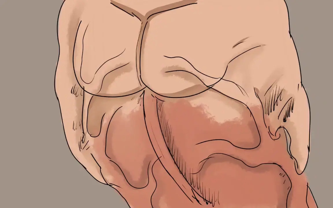 Cock transformation by Artaccountant