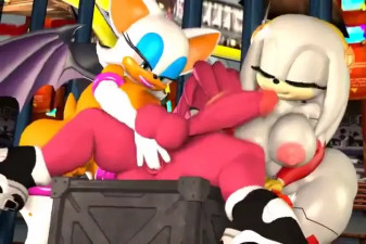 Rouge and Zeta Team Work