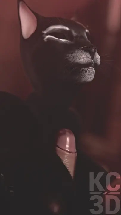 Aziyas Duties『KC3D』