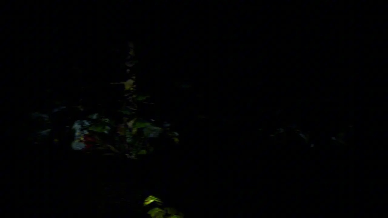 scp1471 animation