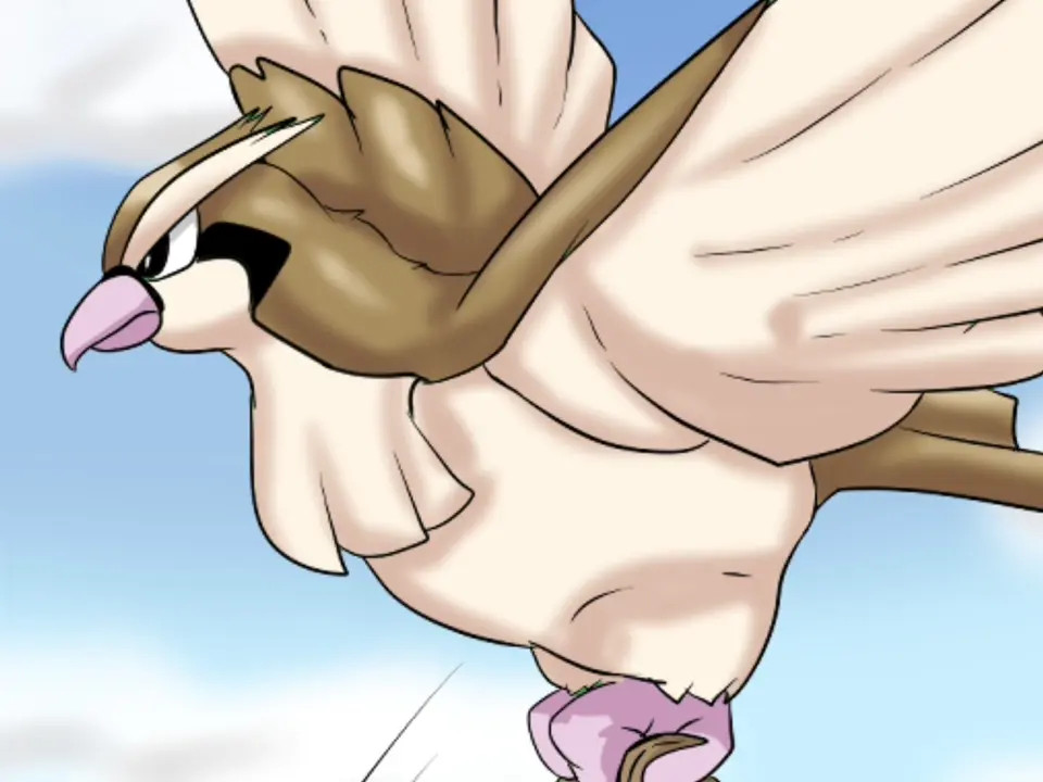 My dear Blaziken ft. Amai Hellen [SPA]