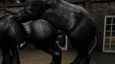 Vidéo 2 SL Ranch Percheron en Saillie