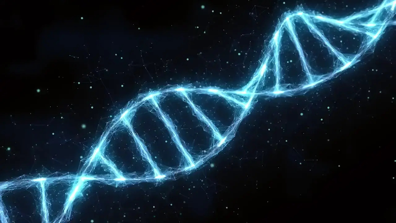 New Hentai: HFO Hentai Succubus Clench Training Episode 1 - Stream & Download HD | rule34tv.com