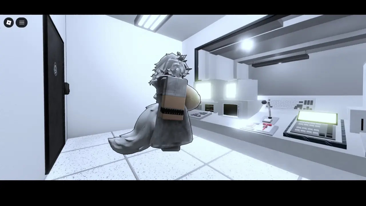the experiment