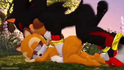 Shadow smashing Marine (Sound)