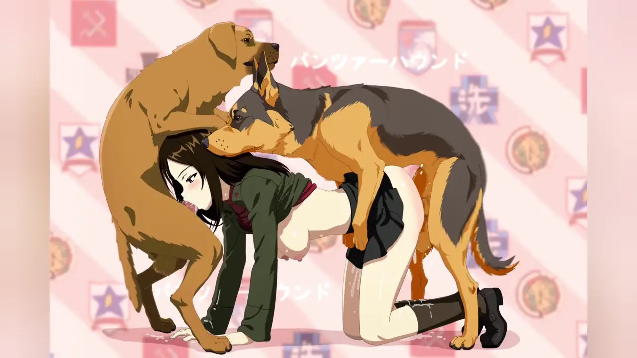 Panzerhound Girls und Panzer Collection