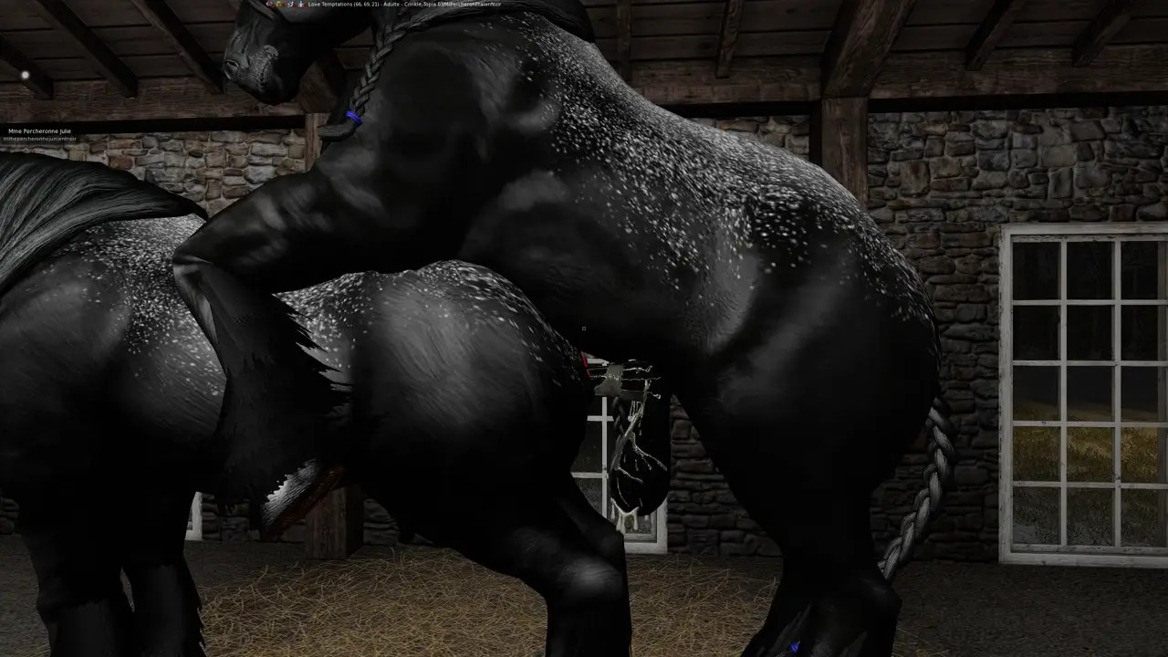 Vidéo 3 SL Ranch Percheron en Ejaculation