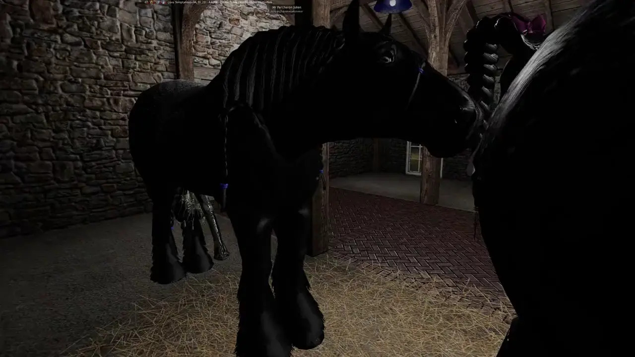 Vidéo 4 SL Ranch Percheron Saillie Fini.