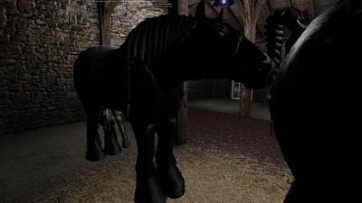 Vidéo 4 SL Ranch Percheron Saillie Fini.