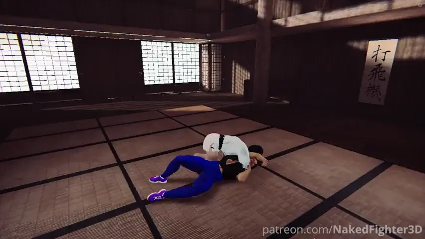 Naked Fighter 3D 2025 Round of 16: Parisa vs Asuka