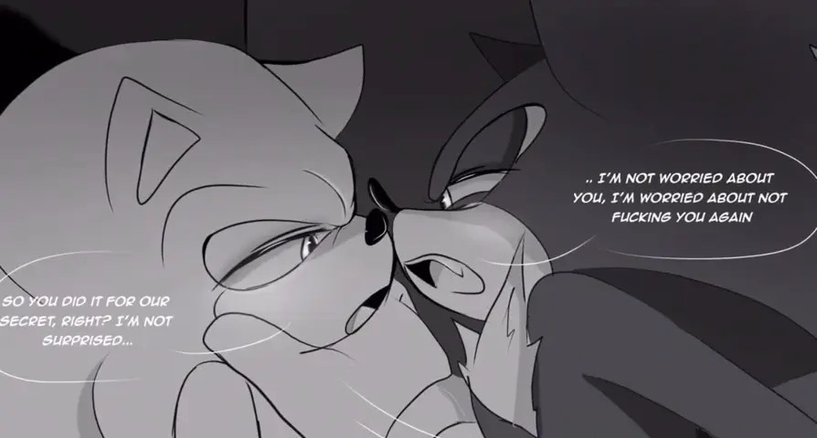 Sonadow - Fucking is all that matters