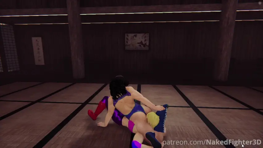 Naked Fighter 3D 2025 Round of 16: Mika vs Miki