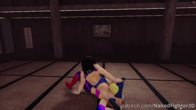 Naked Fighter 3D 2025 Round of 16: Mika vs Miki