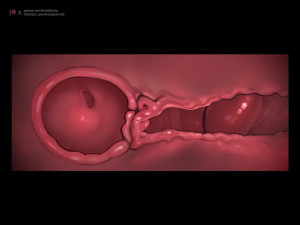 HealingPit lenka locked sex