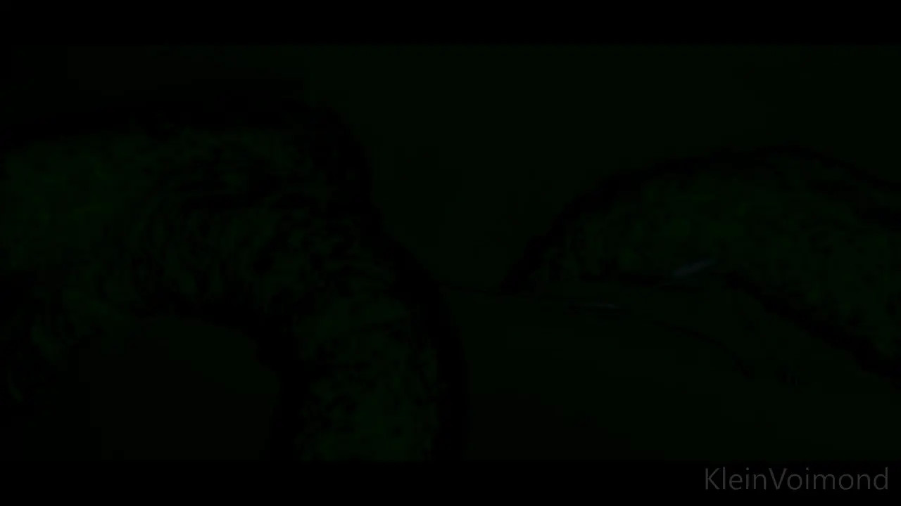 Tentacles and Elf