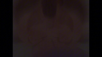 ZonkPunch PMV — *PLOP *PLP *PLOP