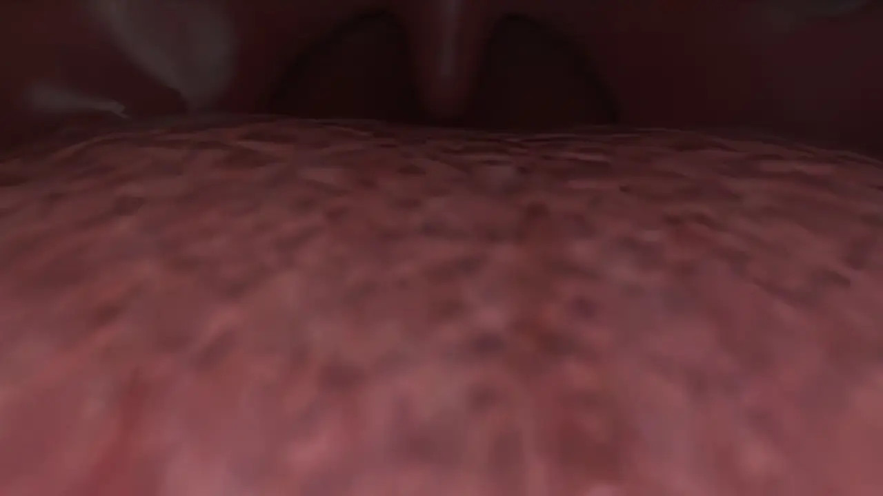 giantess vore