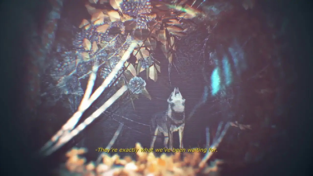 SRVN Bestiality PMV