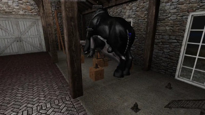 Étalon Saillie une Furry Requin Femelle.