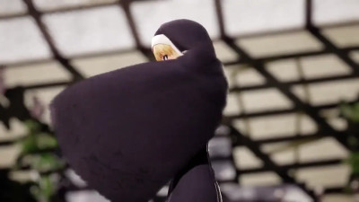 Sister Claire Stripdance - Ai Kotoba III